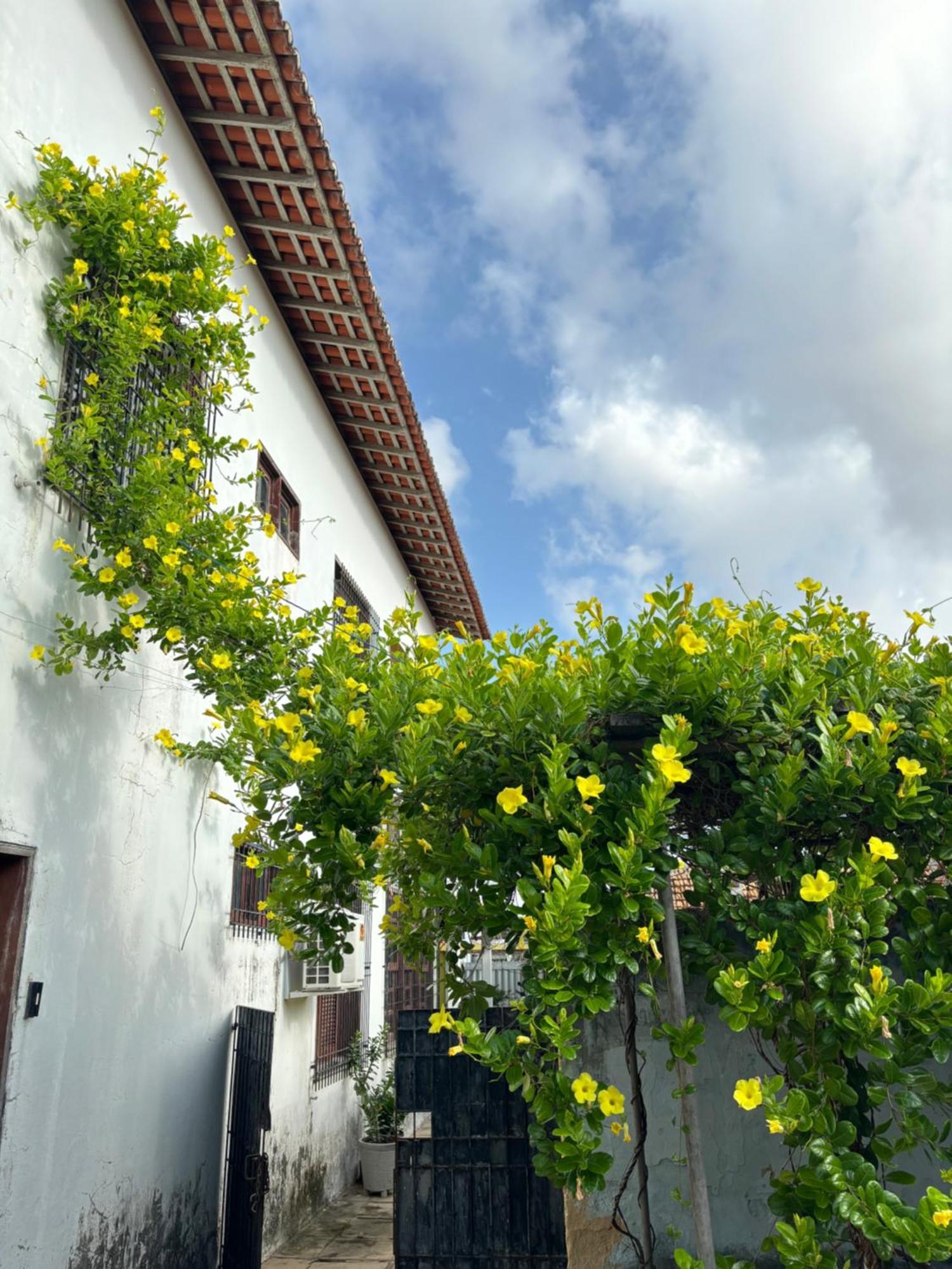 Parnaiba Hostel Εξωτερικό φωτογραφία